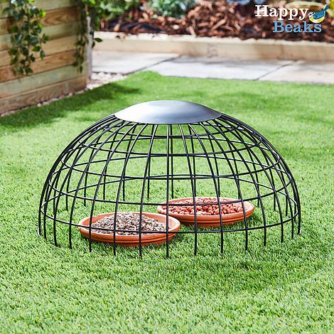 Squirrel Proof Ground Feeding Haven